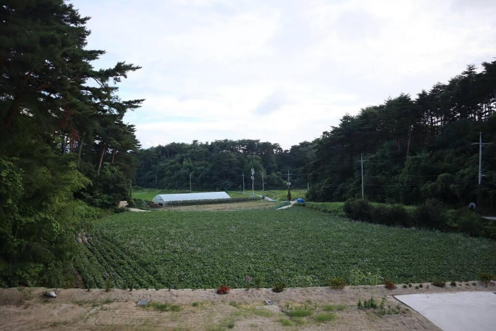 Sinami83 Villa Gangneung Exterior photo